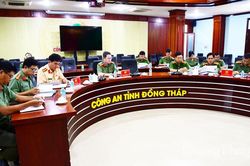Đồng Tháp: Đánh giá, chỉ đạo thực hiện tiêu chí về An ninh, trật tự trong xây dựng nông thôn mới