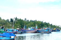 Hướng dẫn xử l&yacute; t&agrave;u c&aacute; sau giải bản, bảo đảm kh&ocirc;ng t&aacute;i tham gia khai th&aacute;c thủy sản