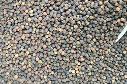 Gi&aacute; c&agrave; ph&ecirc; giảm nhẹ, hồ ti&ecirc;u mất đến 3.000 đồng/kg