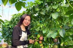Phát triển công nghiệp sinh học thành ngành kinh tế - kỹ thuật quan trọng