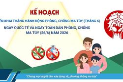 Kế hoạch triển khai Th&aacute;ng h&agrave;nh động ph&ograve;ng, chống ma t&uacute;y (th&aacute;ng 6), Ng&agrave;y Quốc tế v&agrave; Ng&agrave;y to&agrave;n d&acirc;n ph&ograve;ng, chống ma t&uacute;y (26/6) năm 2026