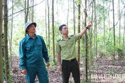 Cảnh b&aacute;o nguy cơ ch&aacute;y rừng cấp cực kỳ nguy hiểm tr&ecirc;n địa b&agrave;n tỉnh