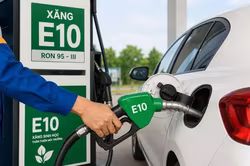 Các dòng xe  tương thích xăng E10