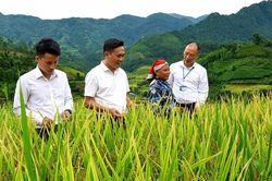 Mường Bo: 'Thay &aacute;o mới' sau một năm tinh gọn bộ m&aacute;y