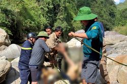 Khẩn trương t&igrave;m kiếm nạn nh&acirc;n c&ograve;n lại trong vụ đuối nước tại suối Mường Hoa