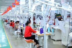 Doanh nghiệp linh hoạt thích ứng trước biến động của thị trường