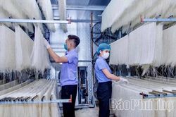Thúc đẩy nông nghiệp tuần hoàn, tích hợp đa giá trị