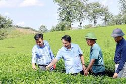 Minh H&ograve;a bứt ph&aacute; trong chặng đường tăng trưởng kinh tế mới