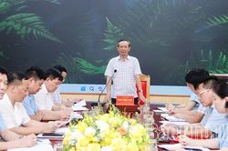 Triển khai sắp xếp thôn, bố trí cán bộ không chuyên trách theo quy định mới