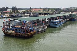 Vững vàng bám biển