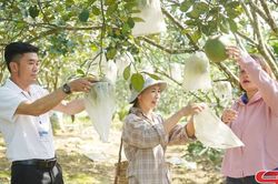 Đồng h&agrave;nh c&ugrave;ng n&ocirc;ng d&acirc;n ph&aacute;t triển sản xuất
