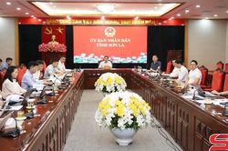 Đẩy nhanh tiến độ triển khai đầu tư các dự án điện năng lượng tái tạo