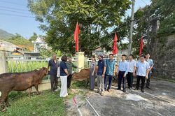 Chăm lo cho người khuyết tật, trẻ mồ côi