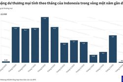 Thặng dư thương mại Indonesia chạm đ&aacute;y 6 năm do &aacute;p lực nhập khẩu nhi&ecirc;n liệu
