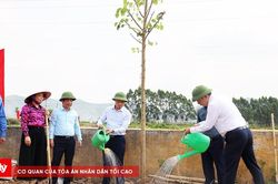 Bắc Ninh ph&aacute;t động ra qu&acirc;n hưởng ứng Ng&agrave;y M&ocirc;i trường thế giới năm 2026