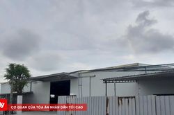 Vĩnh Lại - Hải Phòng: Đất xã giao khoán bị đem góp vốn vào doanh nghiệp tư nhân
