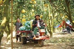 Hỗ trợ nguồn lực 'đ&aacute;nh thức' tinh thần khởi nghiệp