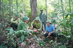 L&agrave;o Cai chủ động ph&ograve;ng ch&aacute;y rừng m&ugrave;a nắng n&oacute;ng