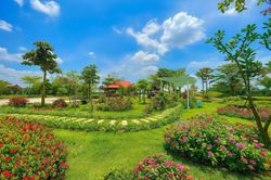 Quảng Ngãi xây dựng công viên nghĩa trang hơn 781 tỷ đồng