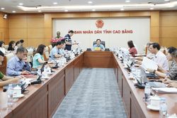 UBND tỉnh cho ý kiến đối với 12 dự thảo Nghị quyết trình kỳ họp thường lệ giữa năm 2026 HĐND tỉnh