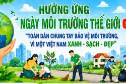 To&agrave;n d&acirc;n chung tay bảo vệ m&ocirc;i trường, v&igrave; một Việt Nam xanh - sạch - đẹp