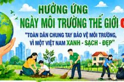 Toàn dân chung tay bảo vệ môi trường, vì một Việt Nam xanh - sạch - đẹp