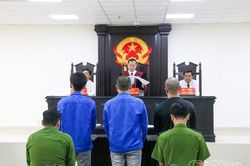 Triệt phá đường dây bán 'cỏ Mỹ' qua mạng xã hội, 3 bị cáo lãnh 27 năm tù