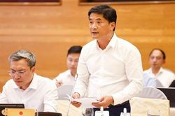 Nghiên cứu cơ chế, chính sách vượt trội về đất đai, tài chính để phát triển nhà ở cho thuê