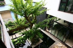 5 dấu hiệu chứng tỏ nhà bạn nằm trên 'kho báu', ở càng lâu càng thịnh vượng