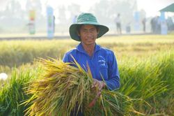 Gần 7.800 n&ocirc;ng d&acirc;n được trang bị kỹ năng quản l&yacute; rủi ro kh&iacute; hậu