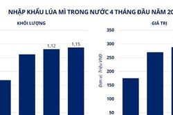 Thị trường hàng hóa phân hóa, MXV-Index tăng nhẹ