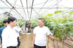 Những người 'gieo' kh&aacute;t vọng tr&ecirc;n đồng đất Thuận An