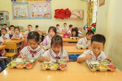 WHO khuyến nghị cải thiện dinh dưỡng học đường thông qua mô hình trường học nâng cao sức khỏe