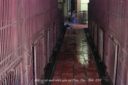 K&ecirc;u gọi đưa to&agrave;n bộ gấu nu&ocirc;i nhốt ở Ph&uacute;c Thọ, H&agrave; Nội v&agrave;o trung t&acirc;m cứu hộ