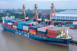 Cổ phiếu HAH được định gi&aacute; mục ti&ecirc;u 55.000 đồng