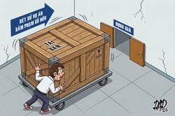 Các tội xâm phạm sở hữu: Nhiều vấn đề cần hoàn thiện