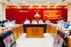 Đo&agrave;n kiểm tra y&ecirc;u cầu Gia Lai c&oacute; phương &aacute;n xử l&yacute; t&agrave;i sản c&ocirc;ng d&ocirc;i dư