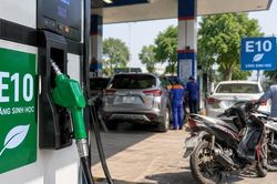 Xe đời sâu thích ứng ra sao khi xăng E10 phủ sóng toàn quốc?