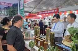 Ph&aacute;t triển OCOP gắn với du lịch n&ocirc;ng th&ocirc;n v&agrave; chuyển đổi số