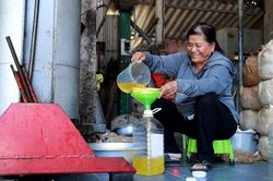 Giọt 'dầu v&agrave;ng' từ hạt đậu qu&ecirc; mang lại sinh kế bền vững