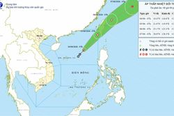 Từ Quảng Ninh đến Khánh Hòa chủ động ứng phó áp thấp nhiệt đới