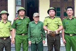Giao nộp c&aacute; thể r&ugrave;a cho cơ quan chức năng ở Thanh H&oacute;a