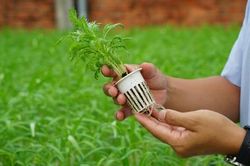 'Đ&aacute;nh thức' đất bỏ hoang bằng n&ocirc;ng nghiệp số