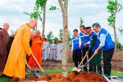 Gieo mầm xanh, vun đắp khối đại đo&agrave;n kết giữa l&ograve;ng TPHCM