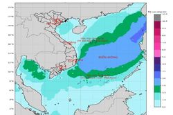 Từ Quảng Ninh đến Khánh Hòa chủ động ứng phó áp thấp nhiệt đới