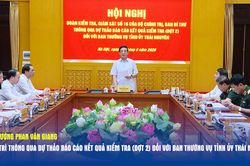 Đại tướng Phan Văn Giang chủ tr&igrave; th&ocirc;ng qua Dự thảo b&aacute;o c&aacute;o kết quả kiểm tra (đợt 2) đối với Ban Thường vụ Tỉnh ủy Th&aacute;i Nguy&ecirc;n