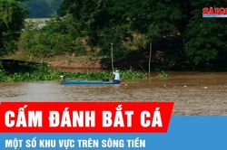 Đồng Th&aacute;p: Cấm người d&acirc;n đ&aacute;nh bắt c&aacute; một số khu vực tr&ecirc;n s&ocirc;ng Tiền