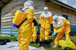Dịch Ebola: WHO kêu gọi dỡ bỏ lệnh cấm đi lại giữa các quốc gia