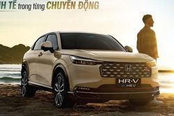 Cập nhật bảng giá xe hãng Honda mới nhất tháng 6/2026