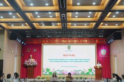 Tăng cường hiệu quả tương trợ tư pháp về dân sự trong bối cảnh mới
